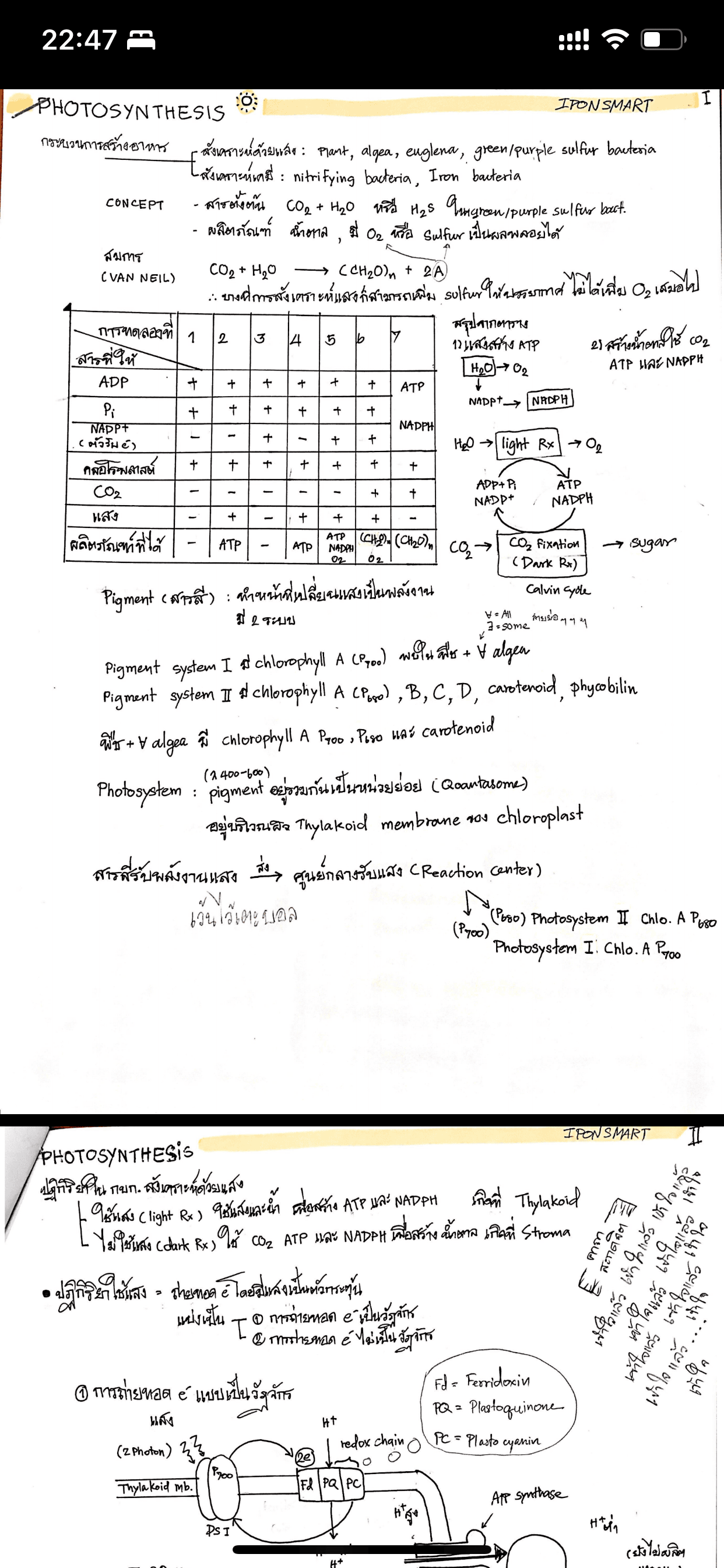 รูปติวเตอร์